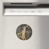 Aimant Suricate (In Situ (Lave-vaisselle))