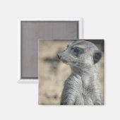 Aimant Suricate drôle (Recto/Verso)