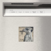 Aimant Suricate drôle (In Situ (Lave-vaisselle))