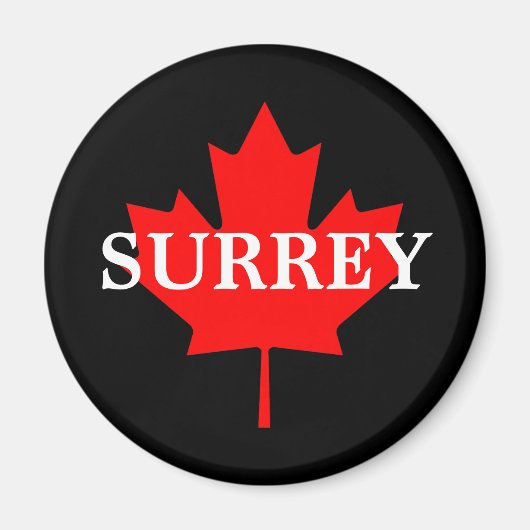 AIMANT SURREY (Devant)