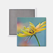 Aimant Susan aux yeux noirs (Recto/Verso)