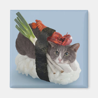 Aimant Sushi Cat-8