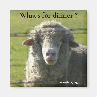 Aimant Sutter Buttes Mountain Range la photo de mouton.