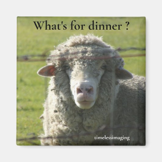 Aimant Sutter Buttes Mountain Range la photo de mouton. (Devant)