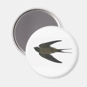 Aimant Swallow (Recto/Verso)