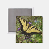 Aimant Swallowtail sur Butfly Bush (Recto/Verso)