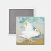 AIMANT SWANS (Recto/Verso)