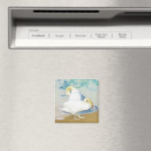 AIMANT SWANS (In Situ (Lave-vaisselle))