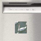 Aimant - Swans en couleur (In Situ (Lave-vaisselle))