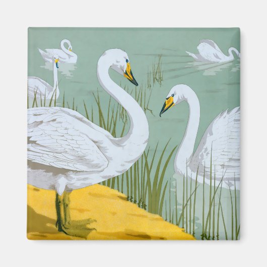 Aimant Swans par Verneuil (Devant)
