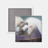 Aimant Sweet Kitty Dans Lit Plaid (Recto/Verso)