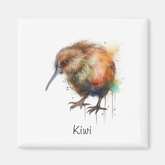 Aimant Sweet Kiwi, coutume (Devant)