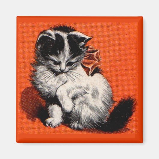 Aimant sweet little kitten (Devant)