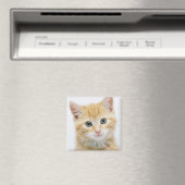 Aimant Sweet Orange Tabby (In Situ (Lave-vaisselle))