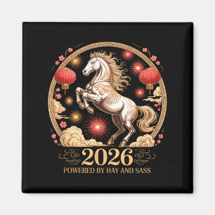 Aimant Sy 2026 Crazy Horse Dame motorisée Hay S Cavalier