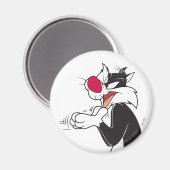 Aimant SYLVESTER™ se frotte les pattes (Recto/Verso)