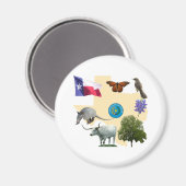 Aimant Symboles d'état du Texas (Recto/Verso)