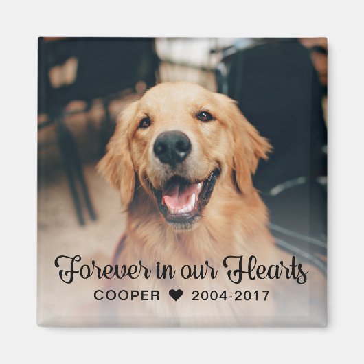 Aimant Sympathie avec le mémorial des animaux de compagni (Devant)