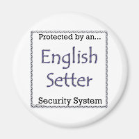Système de sécurité de réglage anglais - Magnett