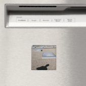 Aimant Système d'éclairage solaire (In Situ (Lave-vaisselle))