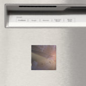 Aimant Système planétaire Epsilon Eridani (In Situ (Lave-vaisselle))