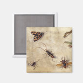 Aimant T31567 Étude de divers insectes, fruits et animaux (Recto/Verso)