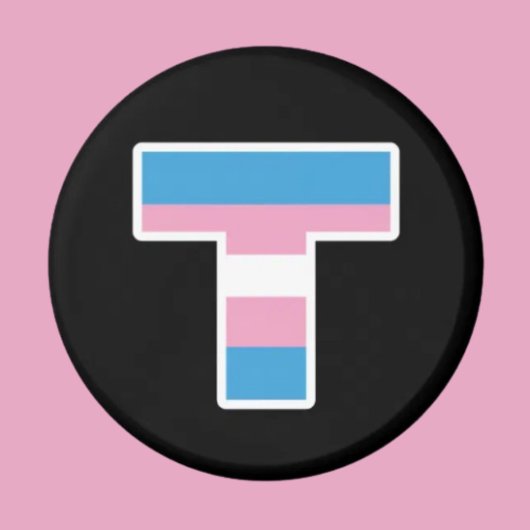 Aimant T Capitale de la Fierté Trans