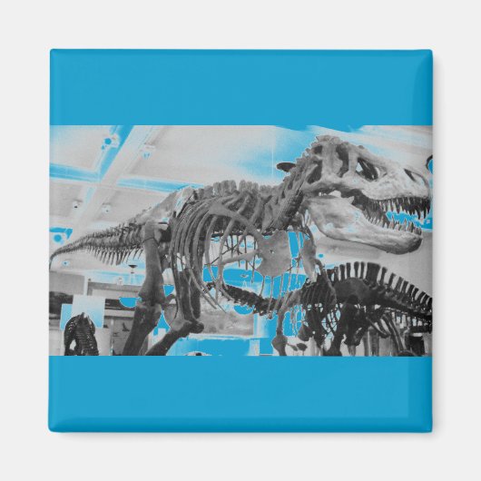 Aimant T-Rex Crayon squelette (Devant)