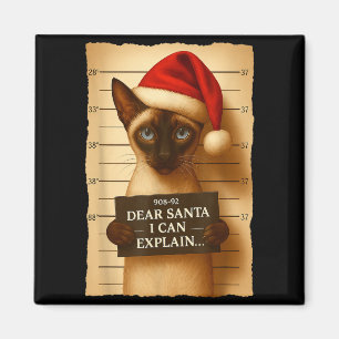 Aimant T-shirt drôle de chat de Noël - Chapeau de Père No