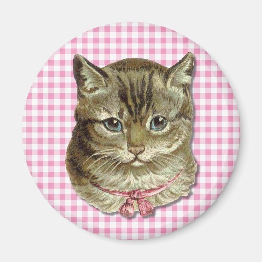 Aimant Tabby (Devant)