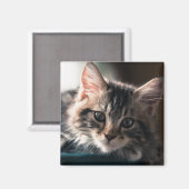 Aimant Tabby Cat 2 (Recto/Verso)