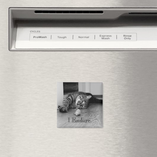 Aimant Tabby Cat Étendu, Toy Mouse, J'Endure (In Situ (Lave-vaisselle))