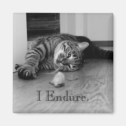 Aimant Tabby Cat Étendu, Toy Mouse, J'Endure (Devant)