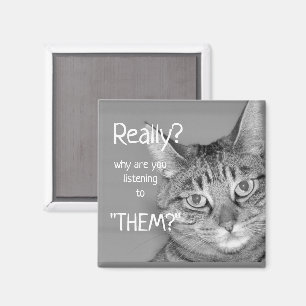 Aimant Tabby Cat, Vraiment ? Pourquoi leur écoutez-vous ?