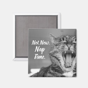 Aimant Tabby Cat Yawning, Pas Maintenant Nap Time