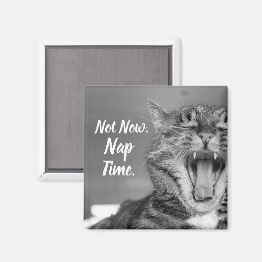 Aimant Tabby Cat Yawning, Pas Maintenant Nap Time (Recto/Verso)