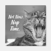 Aimant Tabby Cat Yawning, Pas Maintenant Nap Time (Devant)