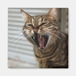Aimant Tabby Cat Yawning Portrait Artistique