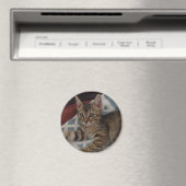 Aimant Tabby Girl Kitten (In Situ (Lave-vaisselle))