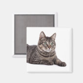 Aimant Tabby Gris (Recto/Verso)