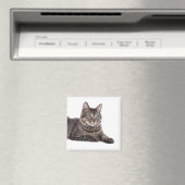 Aimant Tabby Gris (In Situ (Lave-vaisselle))