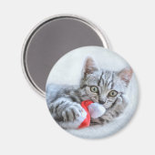 Aimant Tabby gris mou Chat avec Noël Casquette (Recto/Verso)