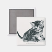 Aimant Tabby Kitten (Recto/Verso)