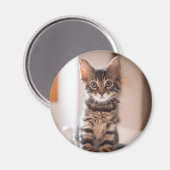 Aimant Tabby Kitten sur la table (Recto/Verso)