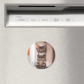 Aimant Tabby Kitten sur la table (In Situ (Lave-vaisselle))