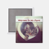 Aimant Tabby Kitty Dans La Cabine Photo De Gros Plan (Recto/Verso)