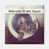 Aimant Tabby Kitty Dans La Cabine Photo De Gros Plan (Devant)