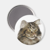 Aimant Tabby noir Maine Coon Cat (Recto/Verso)
