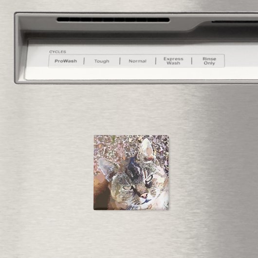 AIMANT TABLEAU CAT (In Situ (Lave-vaisselle))