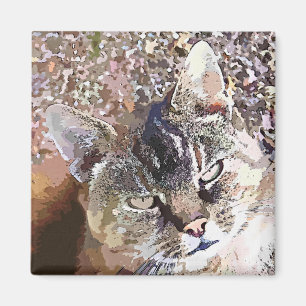 AIMANT TABLEAU CAT